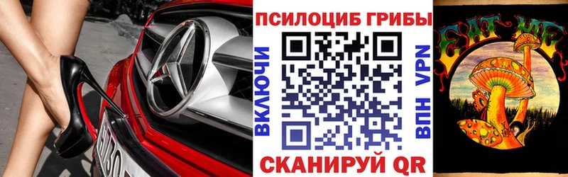 Галлюциногенные грибы ЛСД  Суворов 